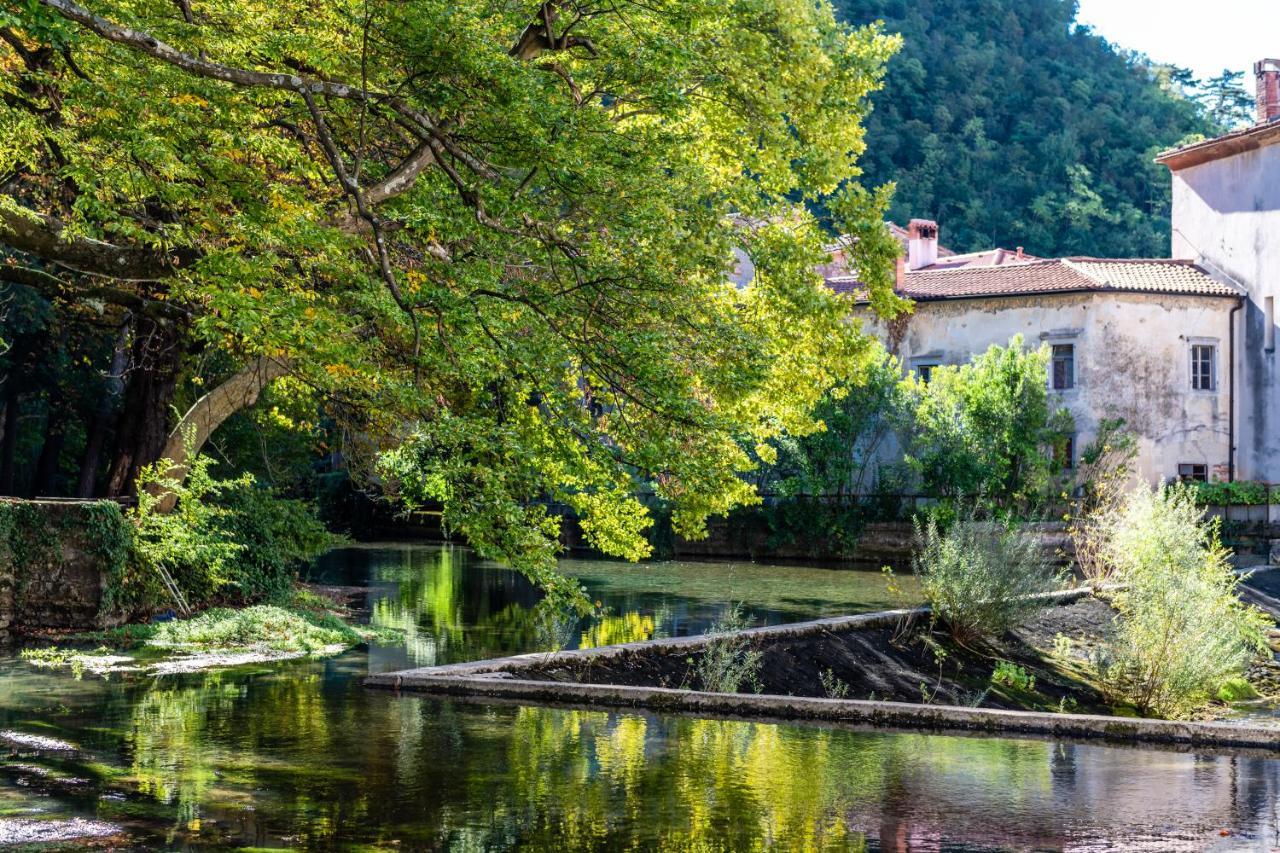 Panorama Glamping Vipavska Dolina Lägenhet Dobravlje Exteriör bild
