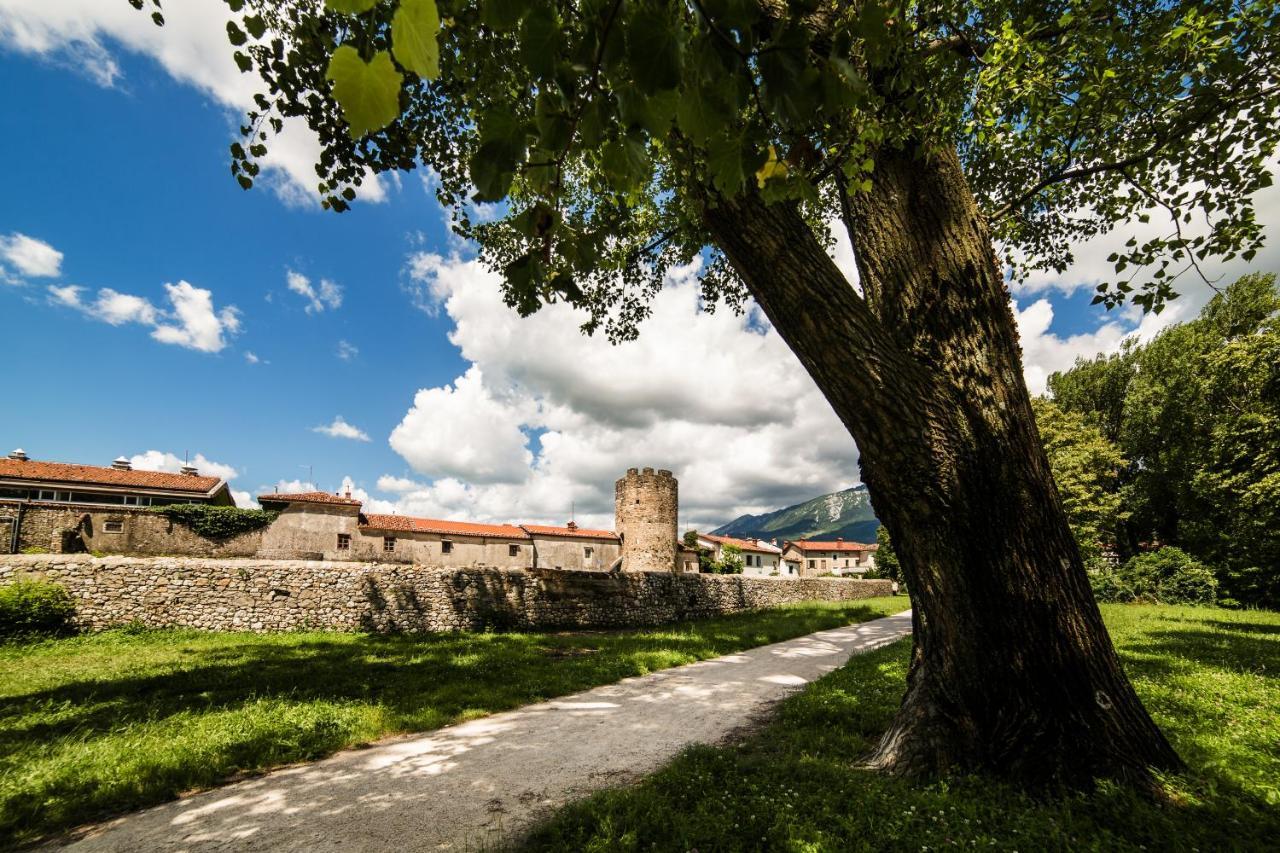Panorama Glamping Vipavska Dolina Lägenhet Dobravlje Exteriör bild